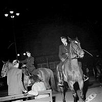 Polisingripande till häst i samband med kravaller vid Berzelii Park och Norrmalmstorg i september 1951..