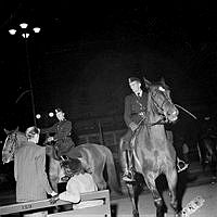 Polisingripande till häst i samband med kravaller vid Berzelii Park och Norrmalmstorg i september 1951..