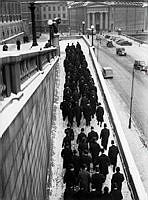 Lejonbacken. Riksdagsmännen på väg till slottet för riksdagens högtidliga öppnande på Stockholms slott.