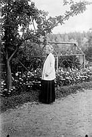 Författare Selma Lagerlöf i sin trädgård på Mårbacka vid sin 75-årsdag.