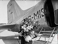 Sovjetunionens ambassadör Aleksandra Kollontaj med stort fång blommor framför ett flygplan.
