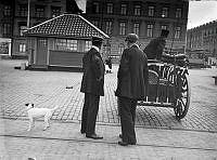Tre män och en hund vid hästtransport på Skeppsbron.