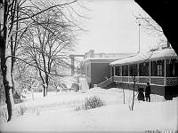 Skansen, Sagoliden.