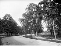 Frisens Park på Djurgården.