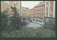 Torbjörn Klockares gata från Solvändan.