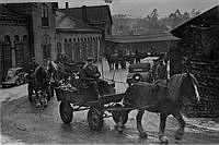 De sista hästarna lämnar Västra renhållningsstationen på Norrbackagatan  den 11 januari 1952.