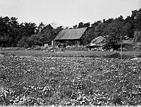 Ängsmark och äldre trähus i Årsta 1939  före den nya bebyggelsen.
