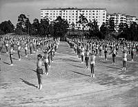 Gymnastiserande män har uppvisning på Stadshagens IP i samband med Lingiaden i Stockholm 1939. 
I fonden lamellhus i kvarteren Drakdödaren och Vattenborgen.