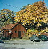 Långholmen. Vid Mälarvarvet. Rödmålad förrådsbyggnad av trä sedd med parkerade bilar. Lövträd som lyser i höstgult.