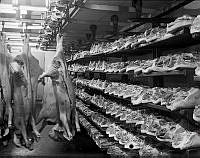 Inför julen 1939 är griskroppar upphängda och styckade på hyllor i slakteri.