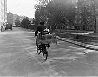 Man på cykel med bohaget i en tvättkorg på pakethållaren.