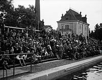 Publik på åskådarplatserna vid Eriksdalsbadet under Aftonbladets pojksimtävling.