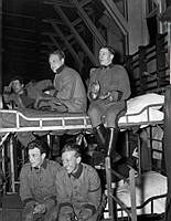 Uniformsklädda landstormsmilitärer i våningssängar förlagda i en gymnastiksal under beredskapen i januari 1940.