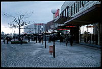 Farsta Torg sett med första nyplanterade eken. Farsta Centrum är nybyggt.