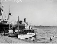 Skärgårdsbåtar vid Skeppsbron. Rex, Stockholm, Strömma Kanal och Delfin. I fonden Kastellholmen
