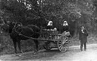 Häst med vagn lastad med mjölkflaskor år 1912. I vagnen sitter sitter Elna och Edit som kör mjölken mellan Flemingsberg och Kungsholmen.