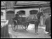 Grosshandlare Paul U Bergström med sin son Kristian (född 1893) i en vagn. En så kallad gigg.