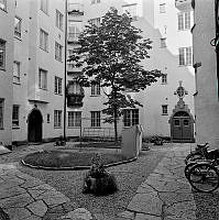 Gård på Styrmansgatan 17.