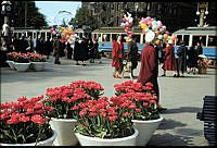 Nybroplan på våren. Till vänster Tornbergs ur. Tulpaner i blomlådor. Tre ballongförsäljare.