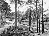 Stadshagen. Nödbostäder under uppförande.