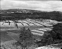 Vy över Hammarby mot nordost över stort bränsleföråd med vedtravar. I fonden Henriksdalsberget med Saltsjö kvarn till vänster och nedanför berget byggnader i Lugnet.