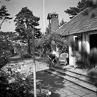 Reportage från Sandhamn under Sandhamnsregattan 1941. En man jobbar framför sitt hus under den nordiska seglarfesten.