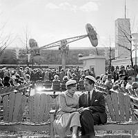 Vårreportage. Studentpar på bänk på Gröna Lund första, maj 1958.
Människor och åkattraktioner i bakgrunden. 
