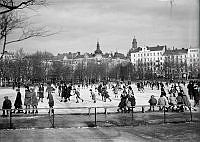 Skridskoåkning i Vasaparken. I bakgrunden Dalagatan. Till vänster bakom träden Odengatan.