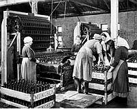 Bryggeriarbeterskor arbetar vid en sköljmaskin vid Münchenbryggeriet.