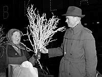 Rushig julhandel dan före dan på Hötorget. Reparatör Lennart Kihlén handlar en försilvrad knippa julris av Hanna Melin 80 år som har varit med 50 jular på torget.