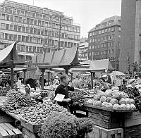 Hötorget. Grönsaksstånd med rödbetor, potatis, morötter, dill, gurka och vitkål. I fonden Konserthuset.