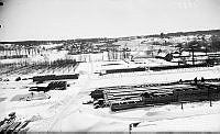 Utsikt över Skanstull, i förgrunden Stockholm stads trädgårdar. I fonden Skanskvarn.
