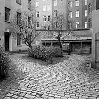 Gård  med planteringar på Torstenssonsgatan 13.