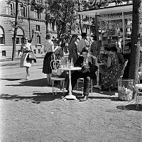 Värmereportage i Kungsträdgården. En man vid ett runt bord. Kvinnor dricker kaffe och folk köar för att handla i kiosk och café.