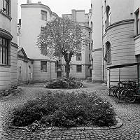 Gården på Styrmansgatan 14.