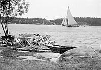 En trasig brygga med ekor och en segelbåt i bakgrunden.