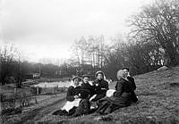 Fem kvinnor sitter i en grässlänt.
