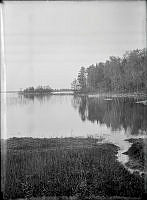 Strand vid Ekudden.