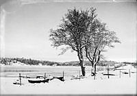 Vinterbild med snö och is vid strand.