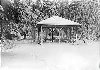 Paviljongen, Duvkällan i snö. Strindbergs Trefaldighets källa.