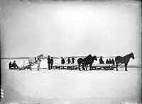 Isupptagning med hästar och kälkar vid Fagervik. 