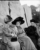 Selma Lagerlöf. Sophie Elkan (längst till höger), Dr Selma Lagerlöf och Dr Louise Qvam (till vänster) från Norge sitter vid Renberget på Skansen. Damerna deltog i internationella rösträttskongressen som hölls i Stockholm i juni 1911.