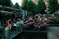 Uteservering vid restaurang 7-sekel i Kungsträdgården. Människor som sitter på uteserveringen. Rhododendronbuskar vid dammar.