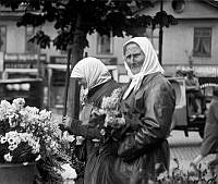 Torghandel på Hötorget. Porträtt av två blomsterförsäljerskor.