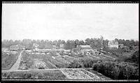 Fotografi av tavla föreställande Bergianska trädgården, forna Bergielund vid Carlbergs allé.