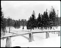 Uggleviksskogen. Vy från viadukten över Värtabanan.