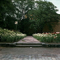 Plantering norrut från Sandbacksgatan mot kv. Sankta Katarina Större.