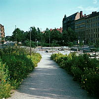 Plantering vid kv. Körsbärsbladet. Valhallavägen österut.