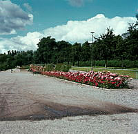 Källhagens blomsterträdgårdar mot väster.