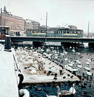 Strömbron från Strömgatan.